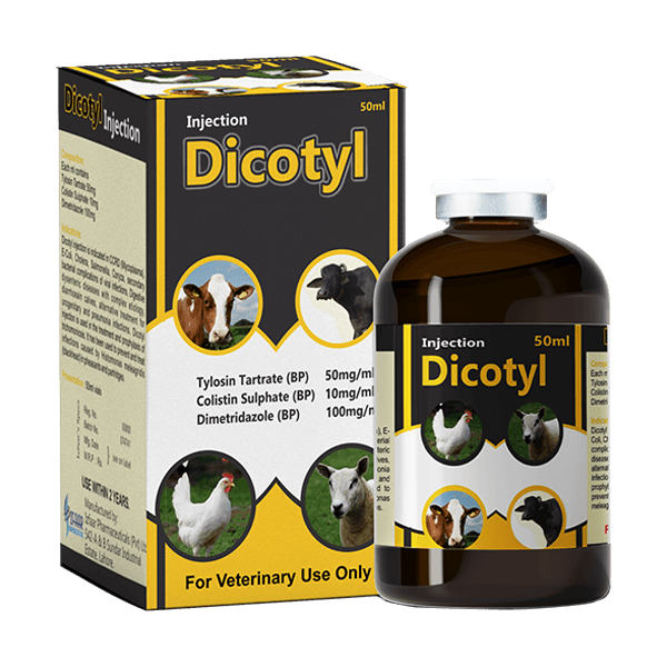 DICOTYL