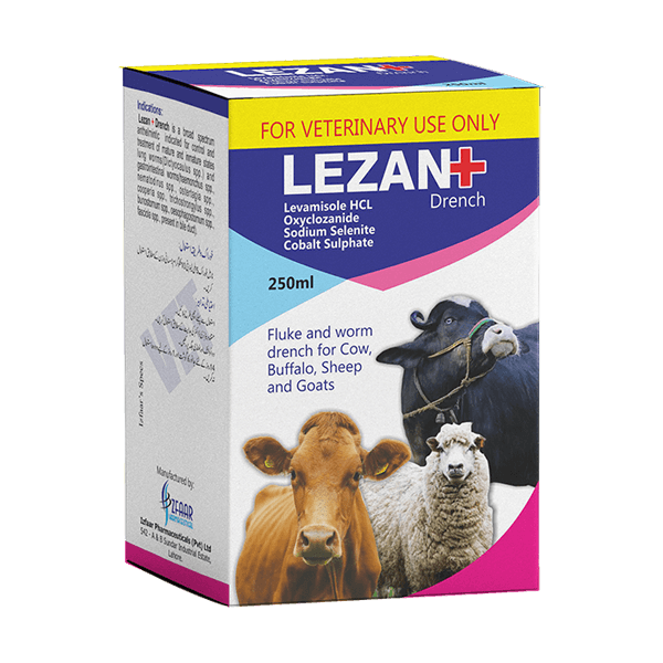 LEZAN +